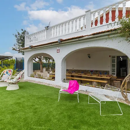 Fidalsa Divine Hiding *