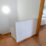 Fidalsa Divine Hiding