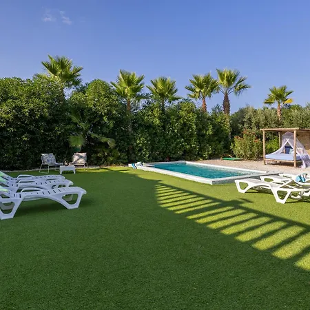 Fidalsa Divine Hiding *