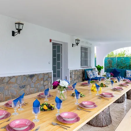 Fidalsa Divine Hiding * 阿尔戈法