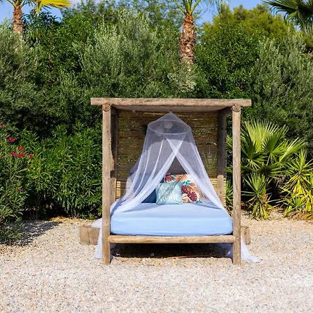 Fidalsa Divine Hiding *